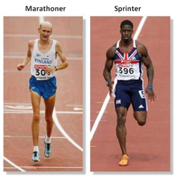 maratonista e corredor